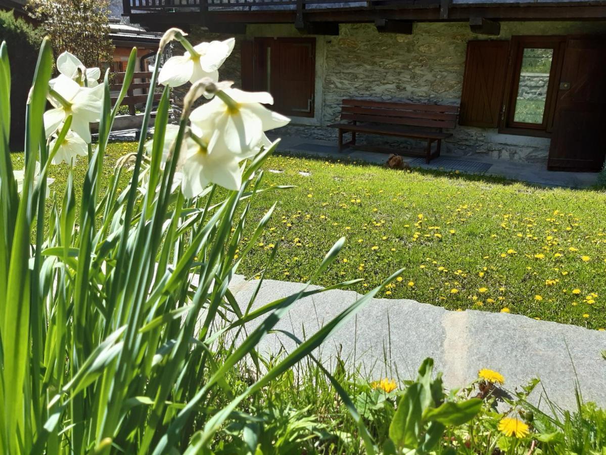 Appartement Sauze d'Oulx with garden, ciâbőt la garitüla Extérieur photo